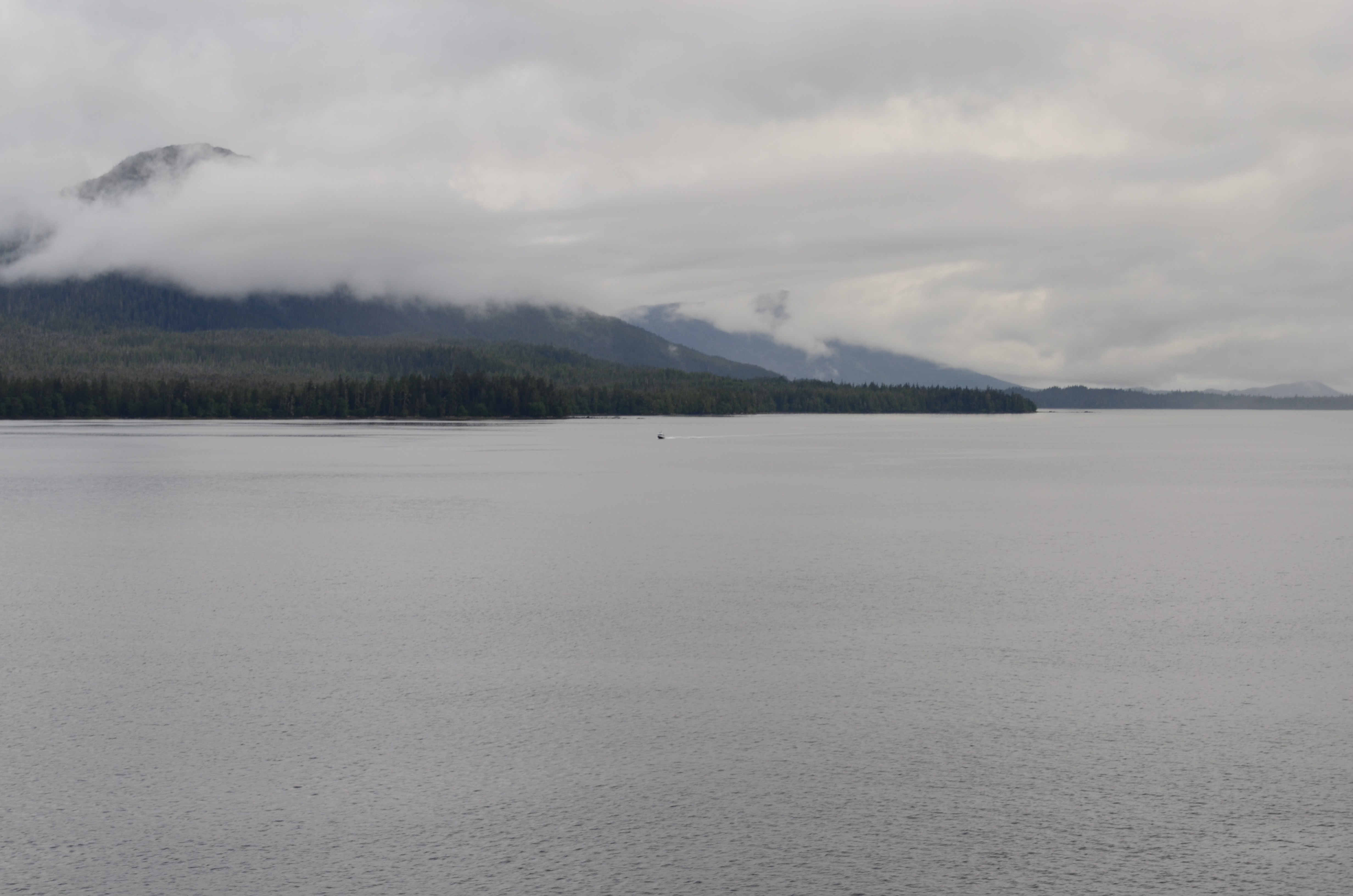 ./2017/08 - Alaska Cruise/11 - Ketchikan/DSC_0548.JPG